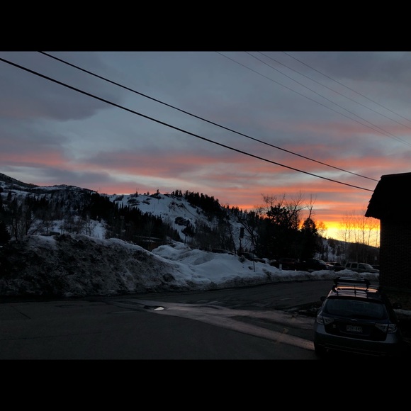 Meet your Posher, Rylin - Picture 1 of 1